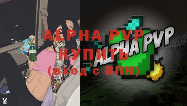 ECSTASY Осинники