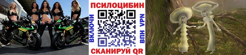 магазин    Красноармейск  Псилоцибиновые грибы Cubensis 