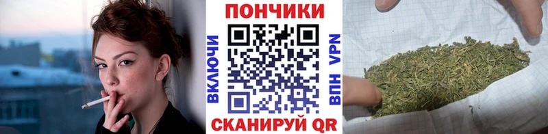 Бошки Шишки ГИДРОПОН  даркнет какой сайт  Красноармейск 